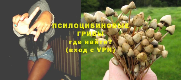 ГАЛЛЮЦИНОГЕННЫЕ ГРИБЫ Алексеевка