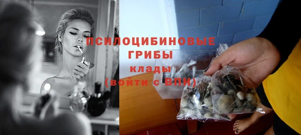 не бодяженный Алексин