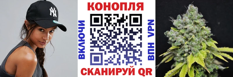 MEGA как зайти  Любим  Канабис OG Kush  наркота 